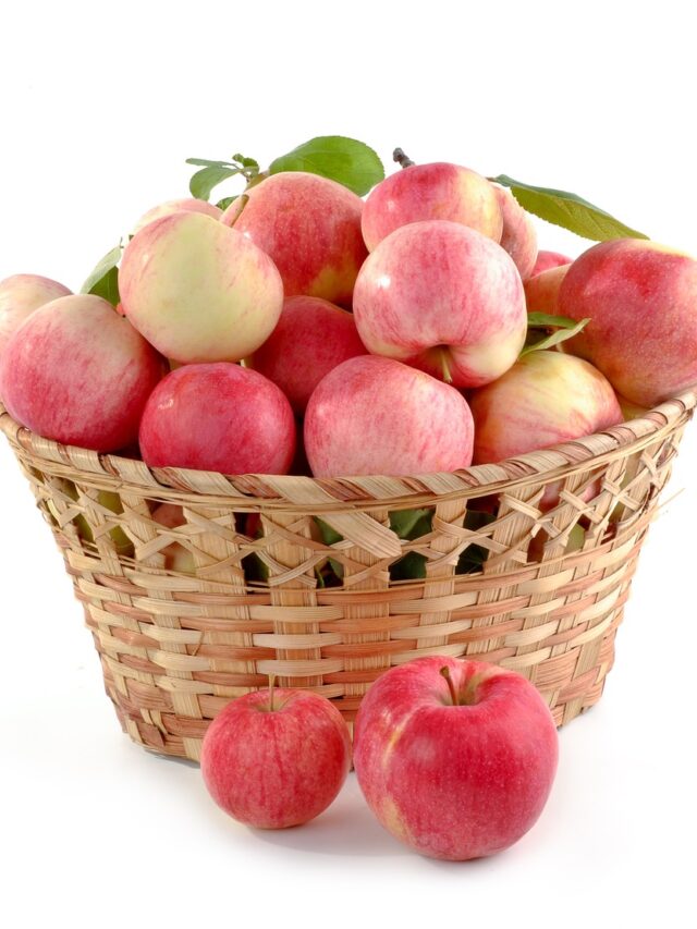 apples-805124_1280