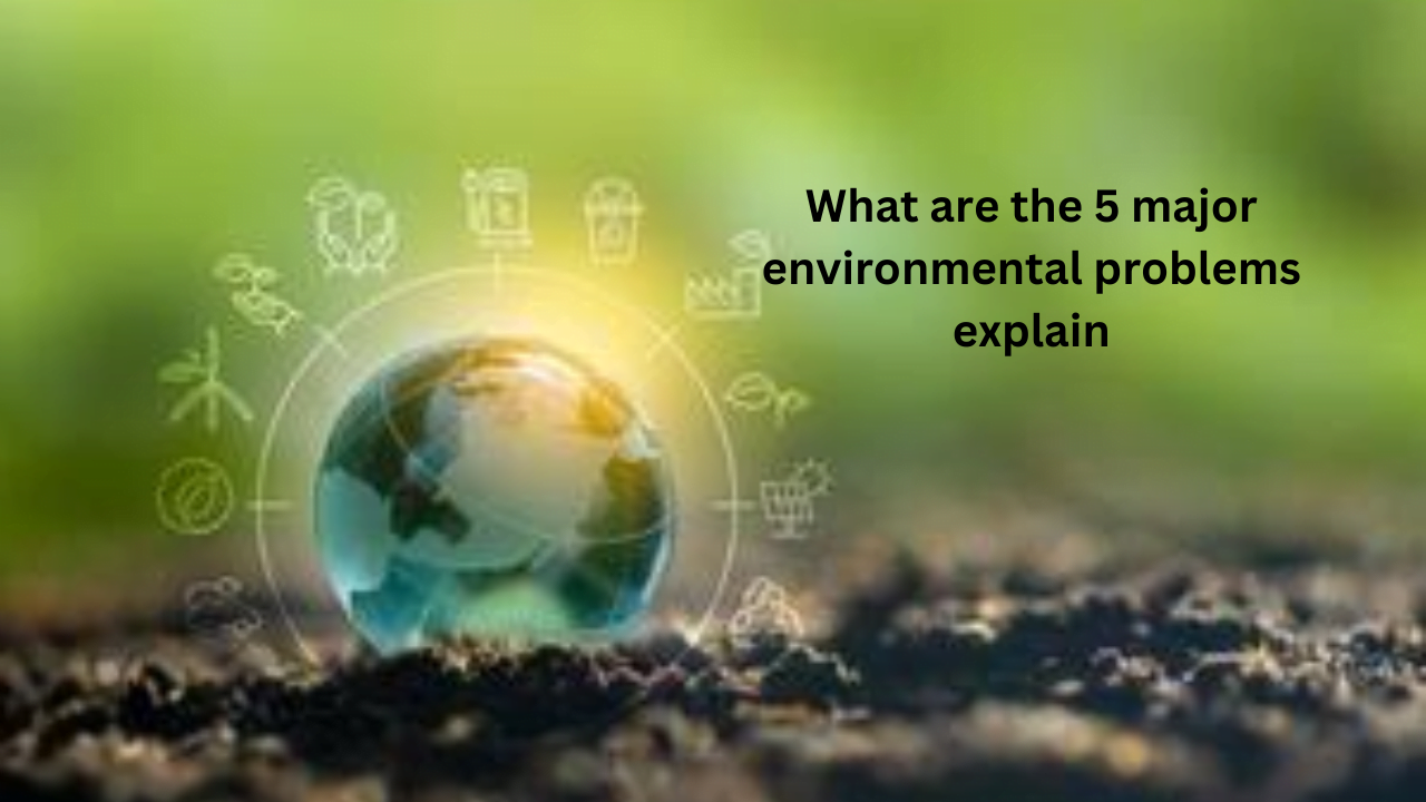 What are the 5 major environmental problems explain