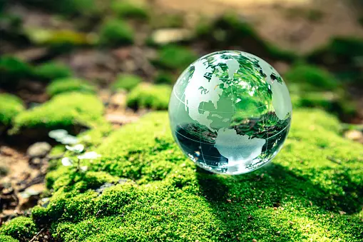 What are the 6 solutions for environmental issues