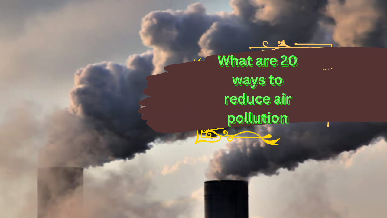 What are 20 ways to reduce air pollution