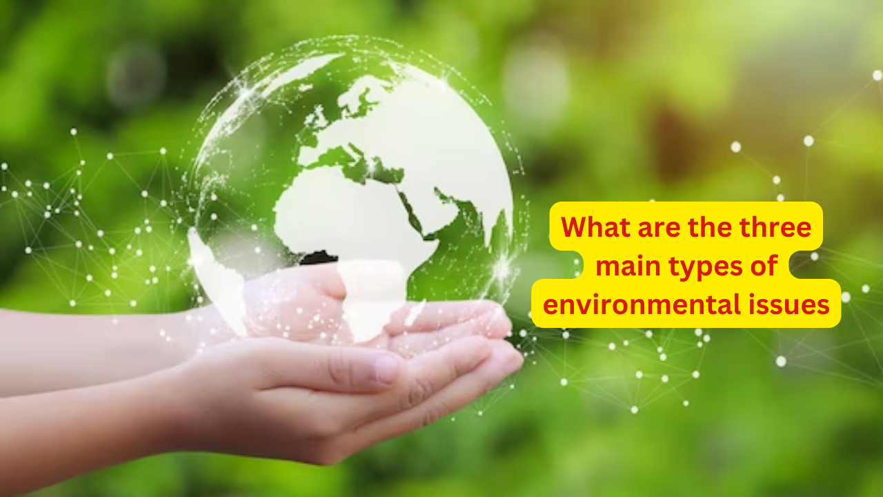 What are the three main types of environmental issues